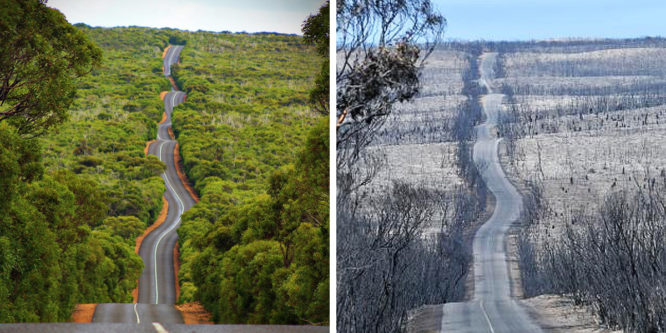 21 снимок “до и после” показывающих последствия пожаров в Австралии