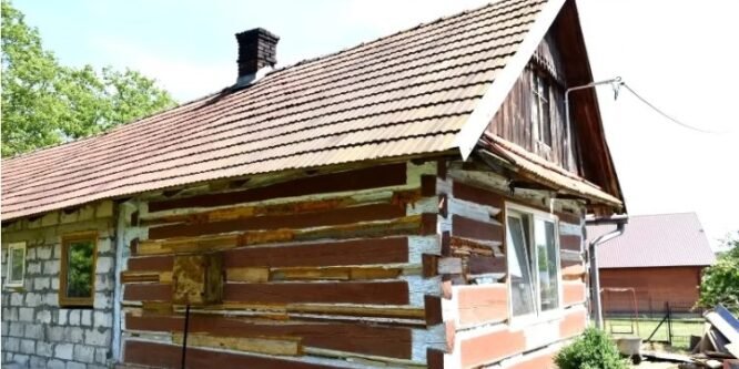 Все смеялись над одиноким отцом, ведь он купил старый разбитый дом без ничего. Теперь завидуют результату