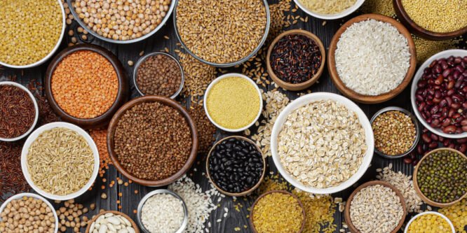 Чем запастись впрок: продукты самого длительного хранения. При надлежащей упаковке сухие продукты могут храниться более 20 лет в домашних условиях