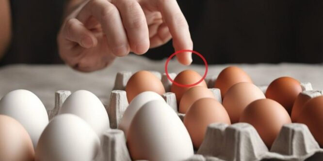 «Никогда больше не бери такие яйца, даже если скидка большая и цена хорошая» — сказала свекровь.