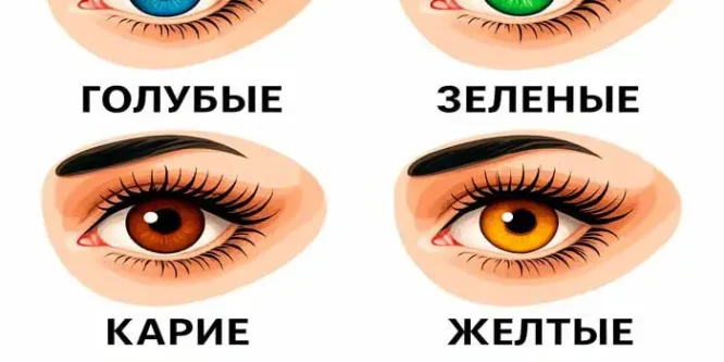 Что расскажет цвет твоих глаз о характере: узнай скрытые тайны!